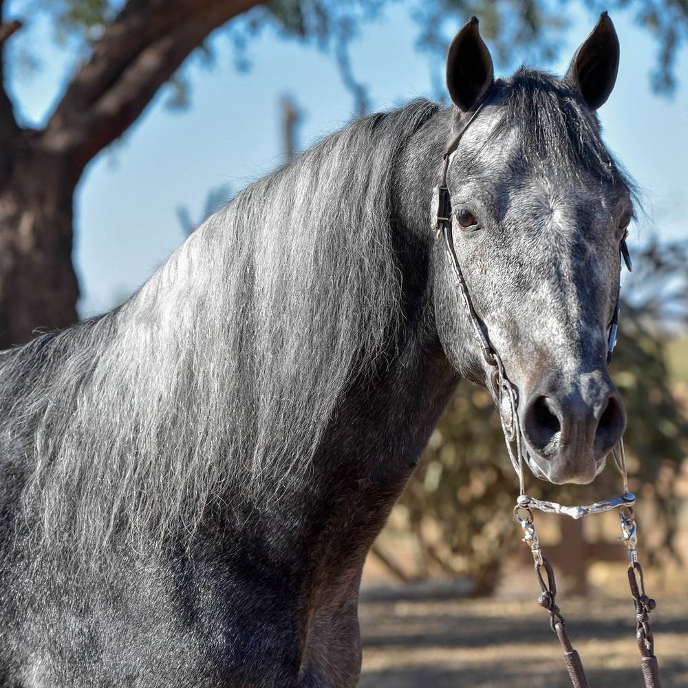 Meet your Posher, Lindsay